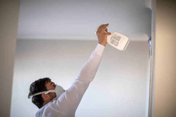 Mold Testing and Removal in Tecumseh, MI