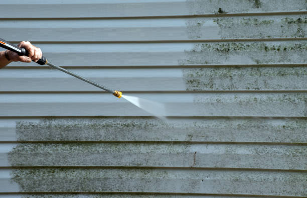 Best Residential Mold Removal  in Tecumseh, MI