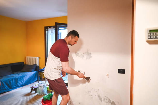 Best Home Mold Removal  in Tecumseh, MI